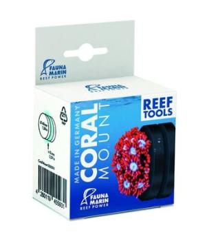 Fauna Marin Coral Mount Ø 4cm