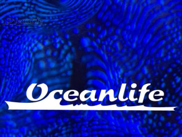 Oceanlife Gutschein im Wert von 100 CHF