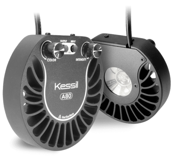 Kessil LED A80 Tuna Blue