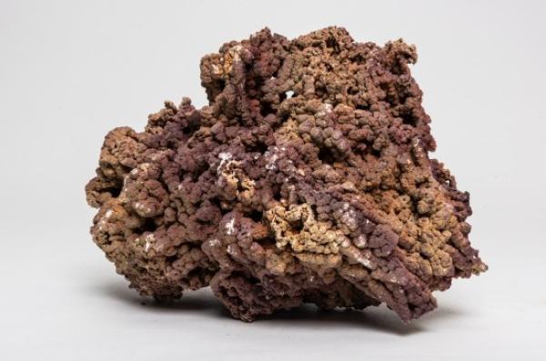 Jurassic Reef Rock 12Kg