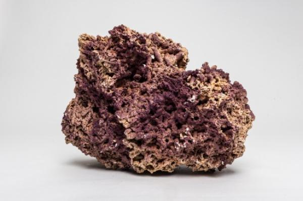 Jurassic Reef Rock 12Kg