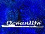 Oceanlife Gutschein im Wert von 100 CHF